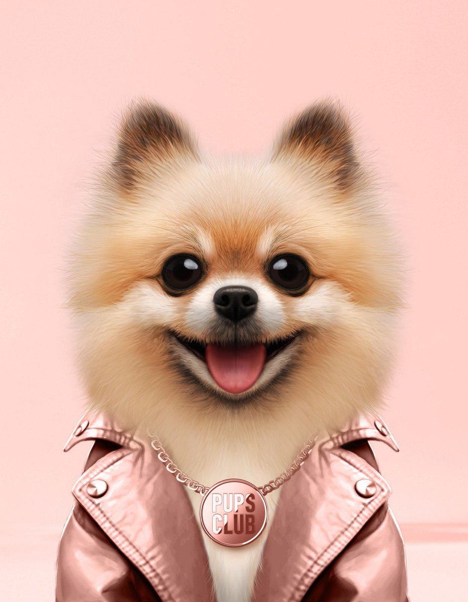 pupsclub's tweet image. 🐶🐶Last 24h to participate to the raffle to win a WL Spot! 🐾🐾👆🏻               
💎Mint Day: December 17th - 9pm EST     🎁 Reveal : December 25th 🎅🪄
🎟 WL Raffle: premint.xyz/-pups-club-raf…