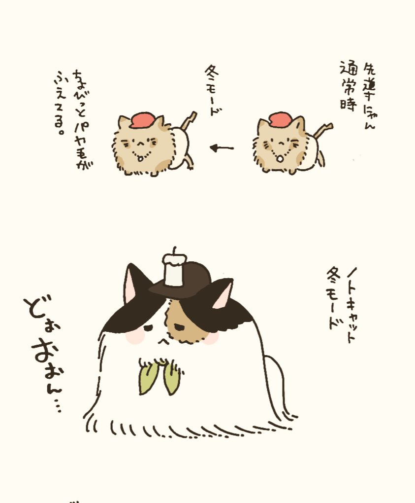 冬の先導にゃん。 