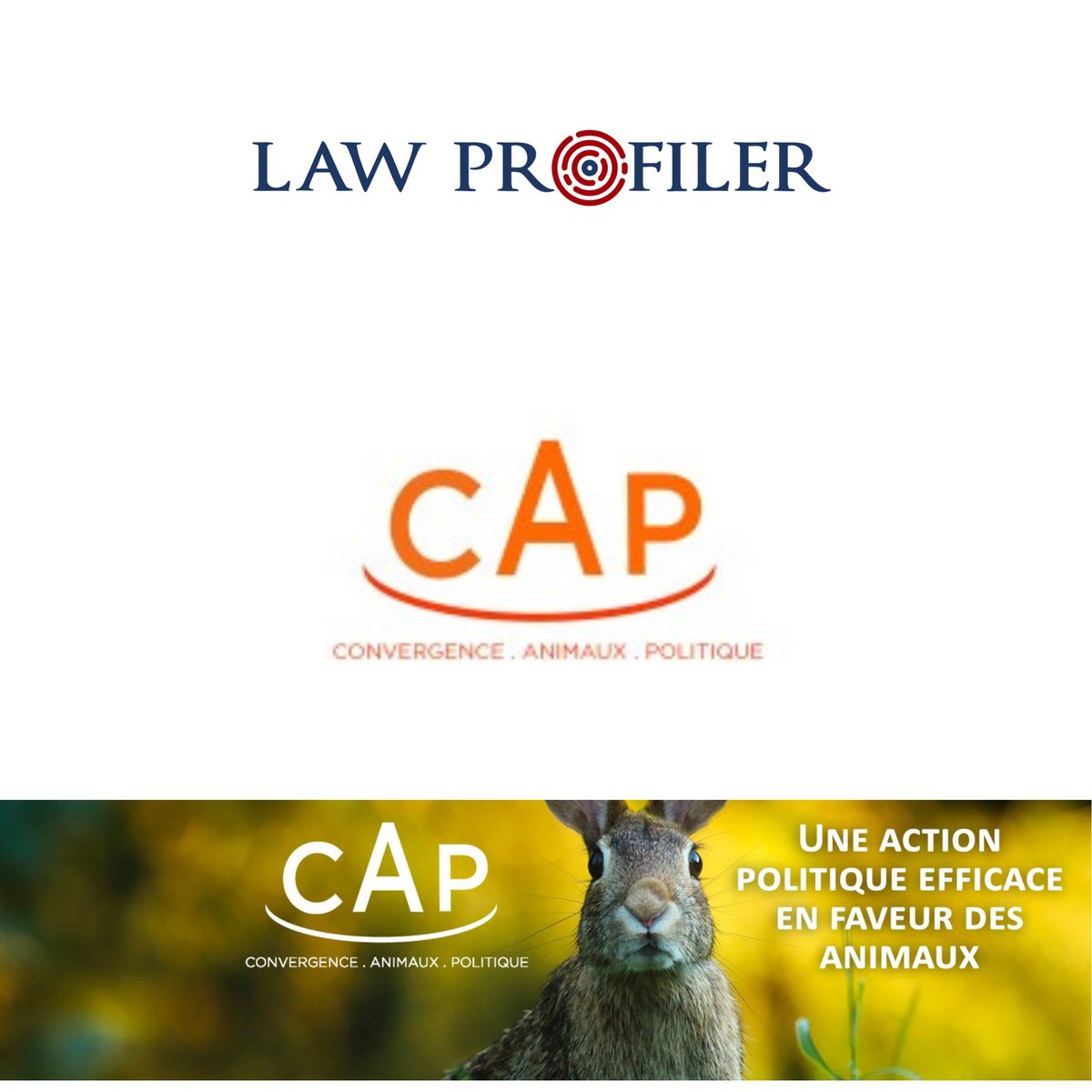 Law profiler tweet media