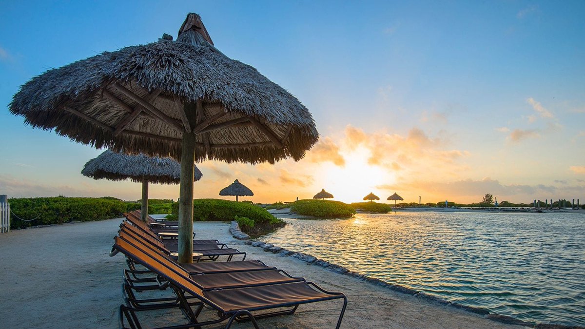 AltomareMaggie's tweet photo. Learn what makes these #beach resorts in Florida the best of the best. #familyvacation  https://t.co/RRS4f8jedc https://t.co/VKxaoyLMxy