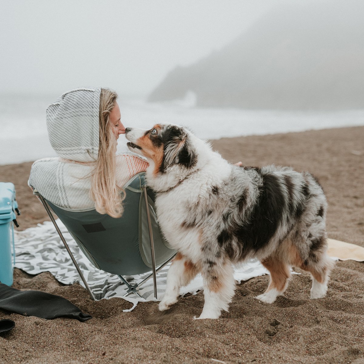 GRAND TRUNK tweet media