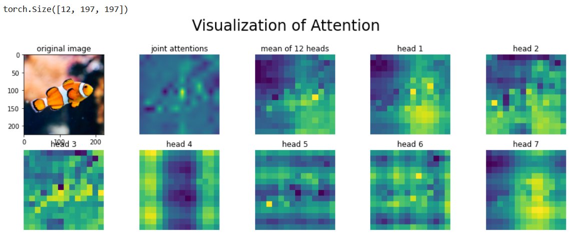 Chrisy Bornberg on Twitter: 