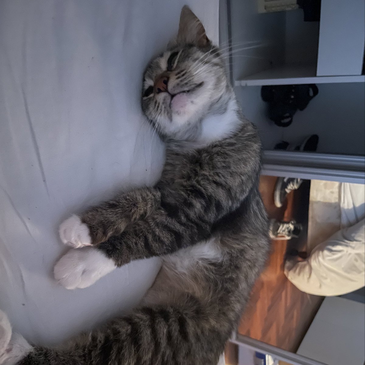 Mery Sackmann tweet media