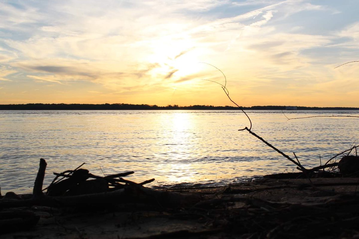 ohhk_itsAri's tweet photo. Y'all ever seen the sun set a body of water on fire? I took these in 2019 when the MS River was high... I've never felt so at peace, than I did watching this. https://t.co/QqutPMbSqT