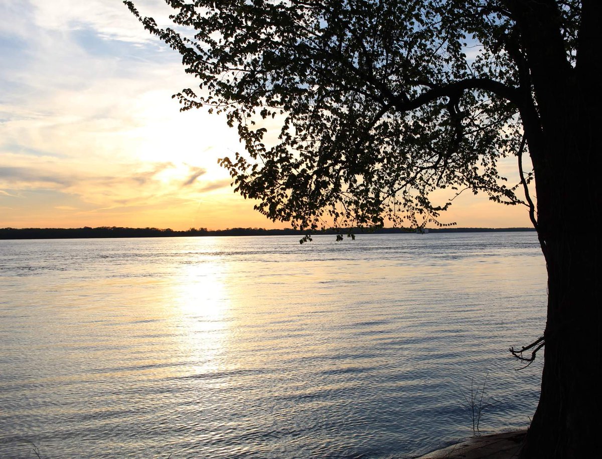 ohhk_itsAri's tweet photo. Y'all ever seen the sun set a body of water on fire? I took these in 2019 when the MS River was high... I've never felt so at peace, than I did watching this. https://t.co/QqutPMbSqT