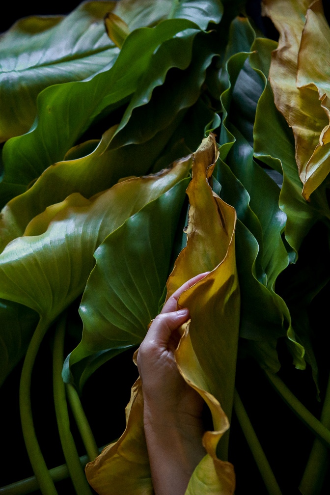 "Mother Tongue Studies 2" © Joan Benney
from the online exhibit Portrait: Self and Others. To view all the selected images please follow the link bit.ly/PPG-Portrait-S…

#fineartphoto #portraitphotography #fineartportrait #portraitphoto #selfportrait #fineartselfportrait