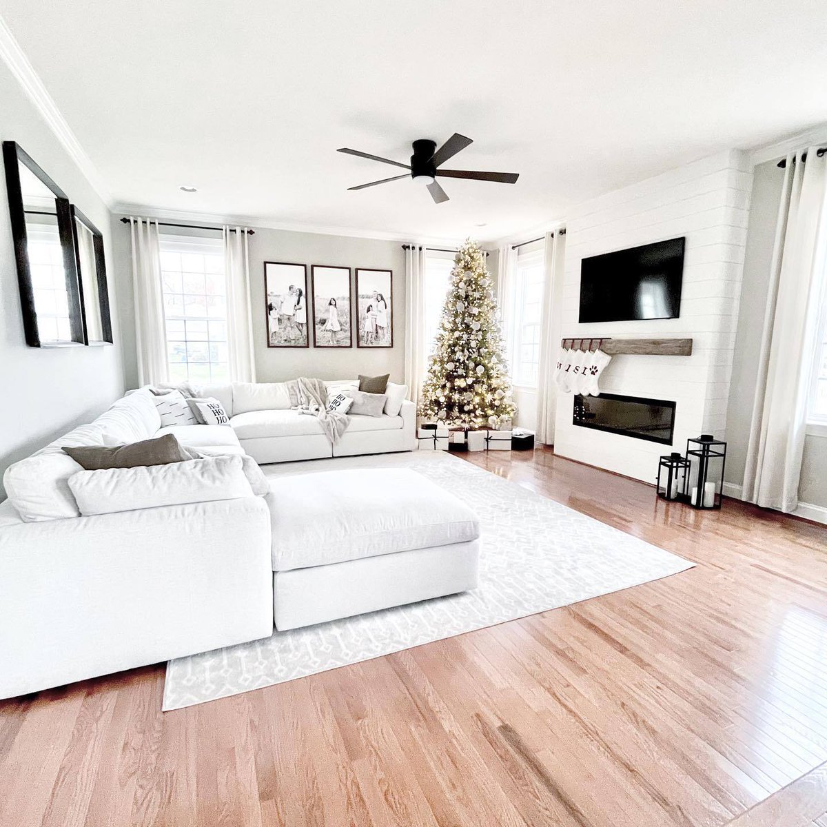 Rugs.com tweet media