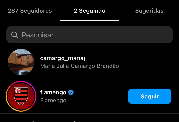 mariacamargokkj's tweet photo. O cara literalmente só segue eu e o flamengo https://t.co/djnUT5ZBdE