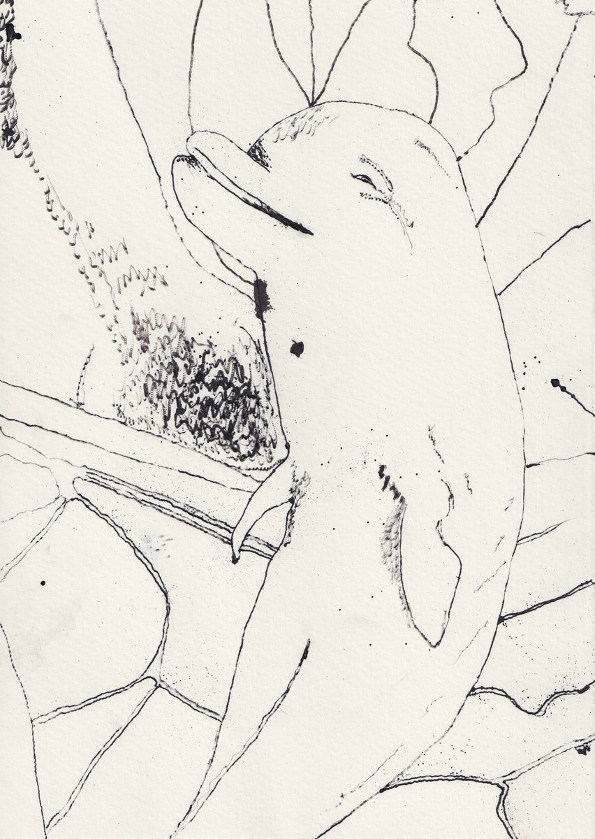 PteDeInternet's tweet photo. 🧐
This 4 from #TattooMachineOnpaper collection have some editions available.

https://t.co/uWISNLHksD

#CleanNft #Tezos #TezosArt #TezosNft #Tattoo https://t.co/nenEER45QF