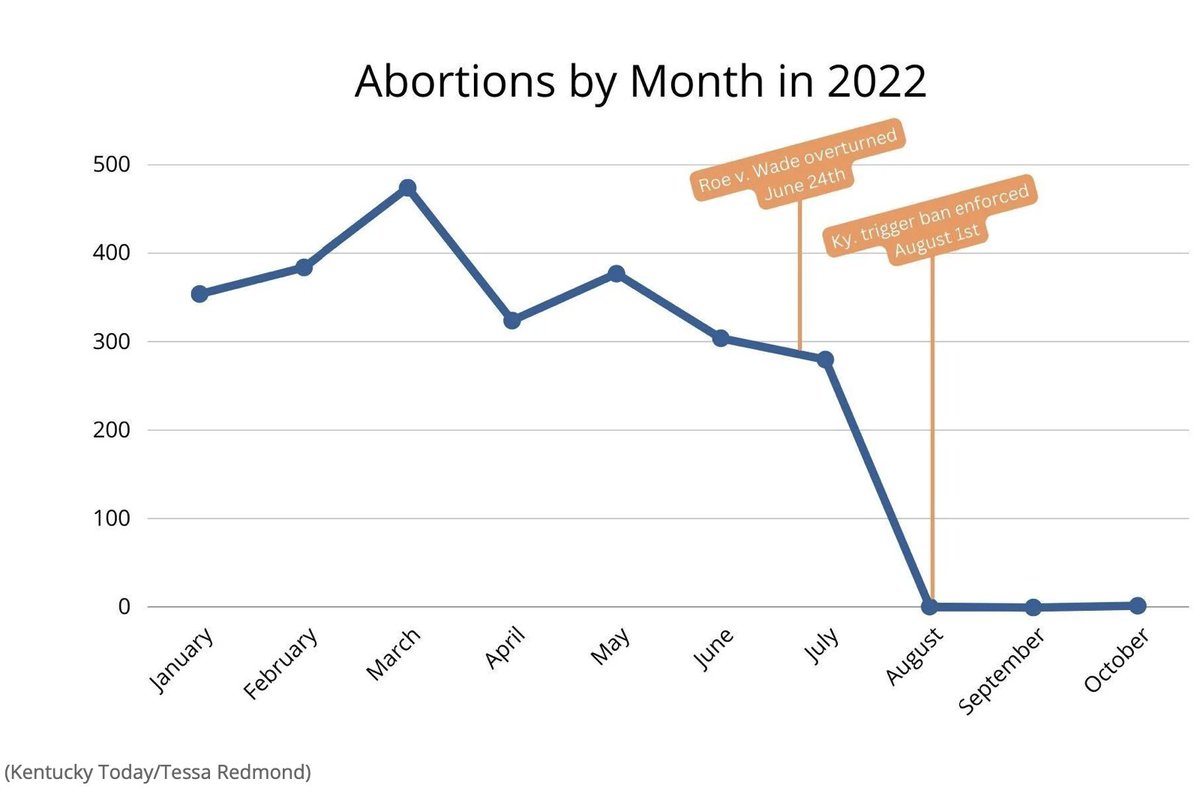 LilaGraceRose's tweet photo. BREAKING: 

Abortions in Kentucky have dropped to nearly zero following the full implementation of Kentucky's protection for human life. 

Thousands of children have been saved from a violent and brutal death. These kids who are alive because of this law will change the world. https://t.co/uyYZb5Obwc