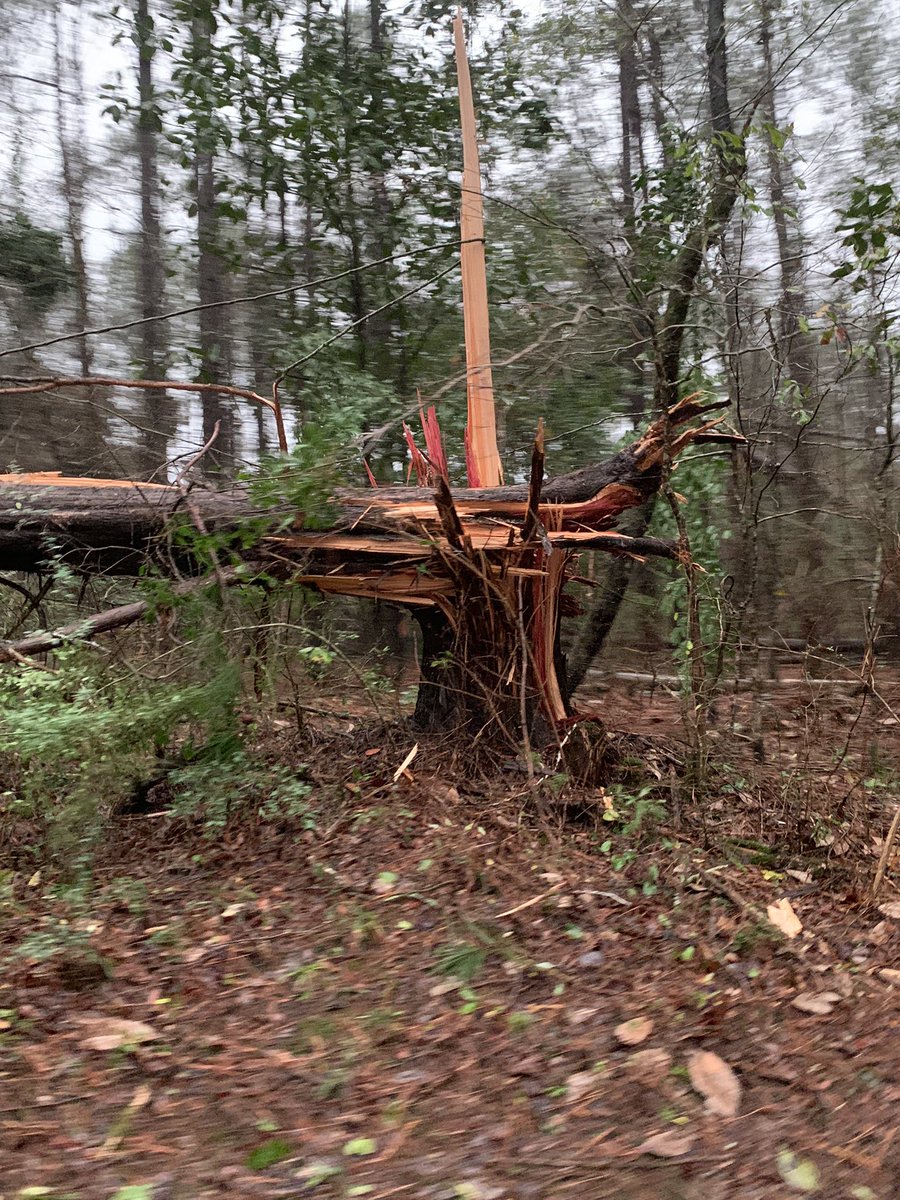 Lindsey Blount on Twitter "Storm Damage Northeast of I20 in Hickory