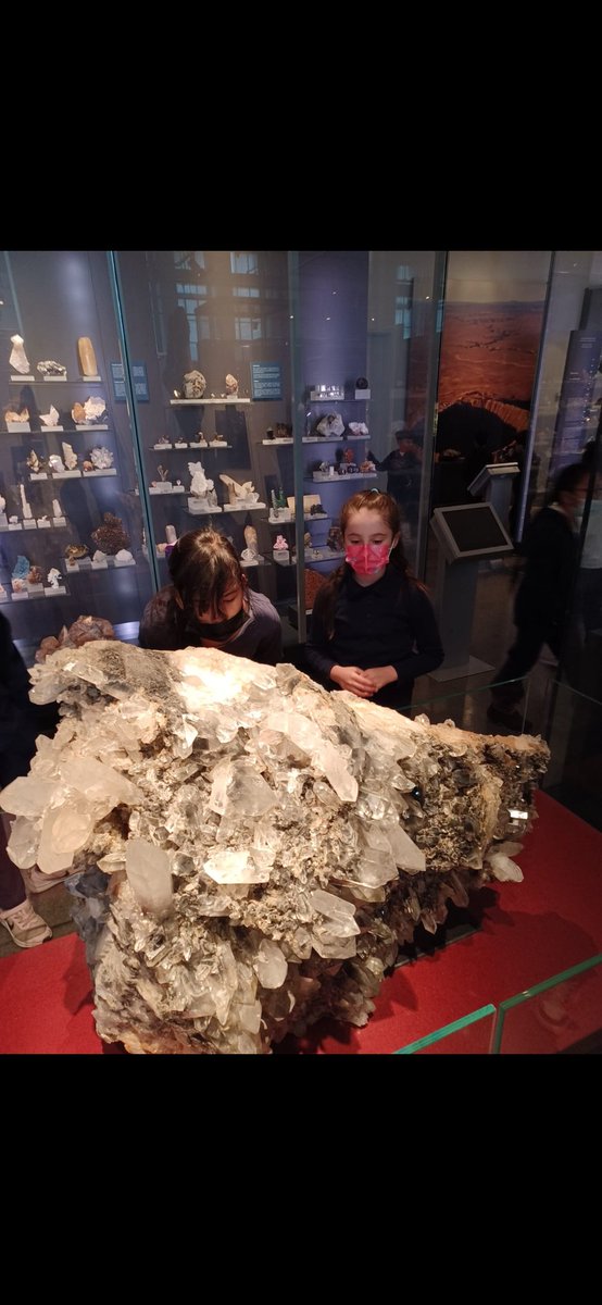 Sara tweet media