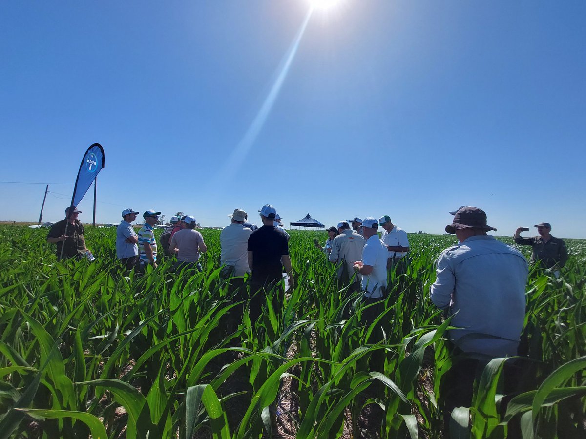 Pablo Fontana tweet media