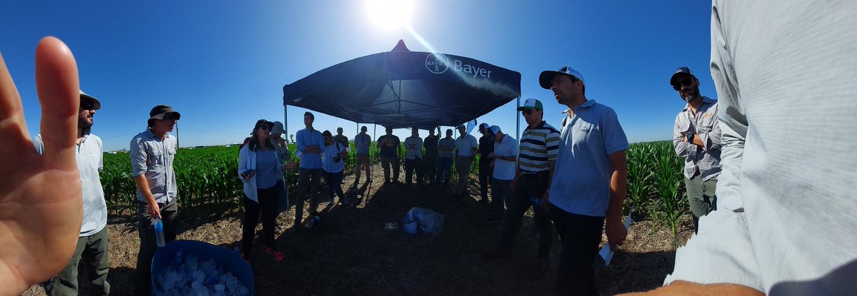 Pablo Fontana tweet media