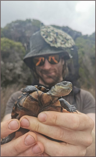 Bethany Nordstrom tweet media