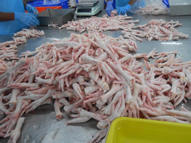 Pawsupplier's tweet photo. FROZEN CHICKEN FEET | FROZEN CHICKEN PAWS | FROZEN CHICKEN WINGS | FROZEN CHICKEN LEGS | CHICKEN WINGS | CHICKEN PAWS | CHICKEN BREAST | CHICKEN FEET | CHICKEN DRUMSTICK | CHICKEN | FROZEN CHICKEN | GIZZARDS 

What's App: +66 63 993 7047
E-mail: customink75@gmail.com
#chickenpaws https://t.co/zSnzNzp5ik