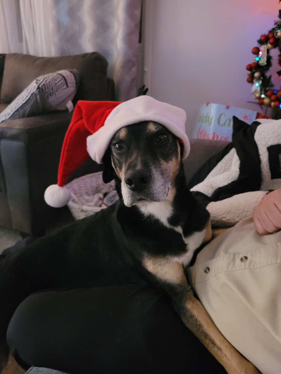 My boy Kai ready for Christmas.