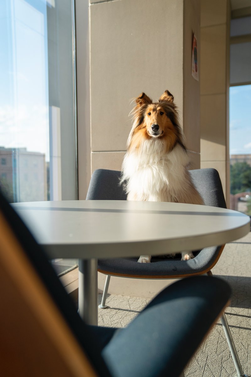 Paws down, it was a great semester! I already can’t wait to see all of my Aggies again next year!! 🐾♥️