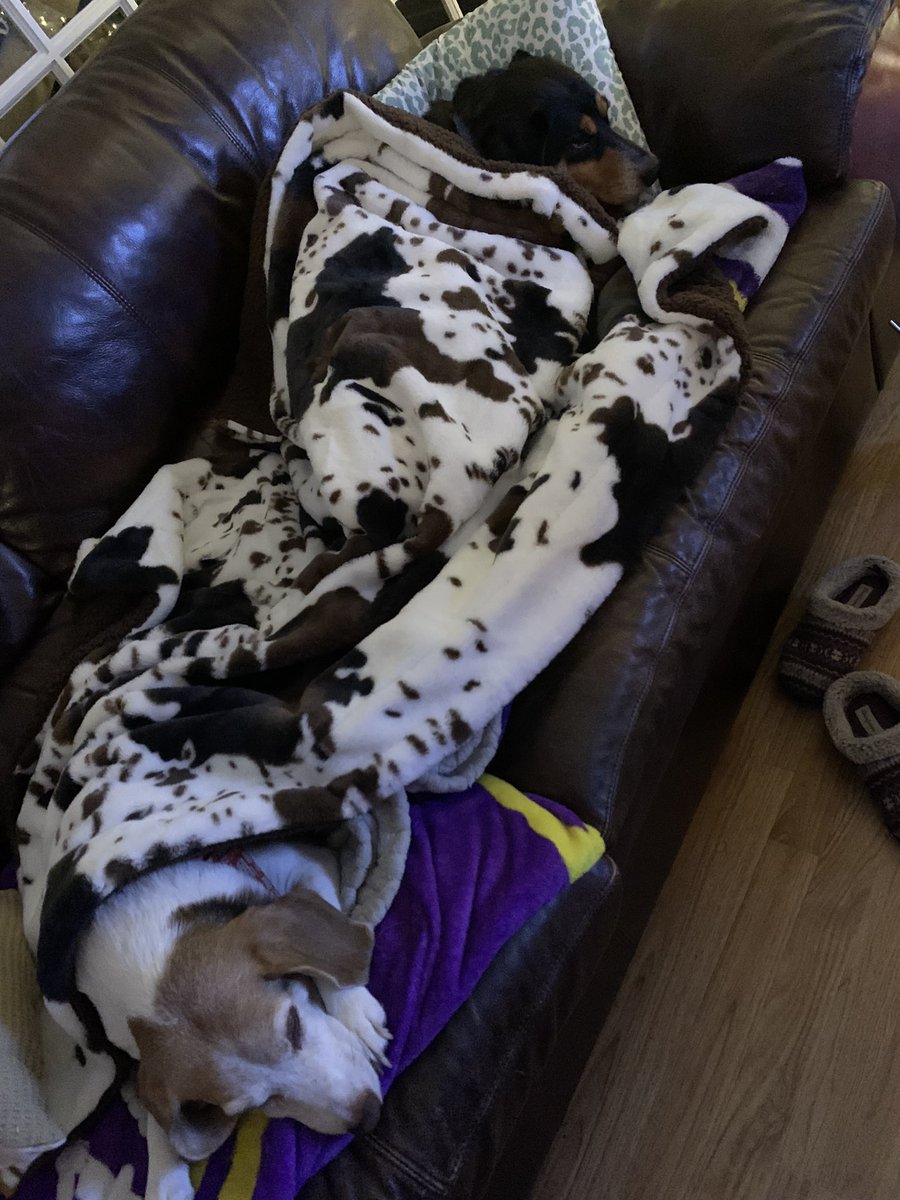 River and I took over my sissy’s blanket while it was storming outside. We are safe and hoping everyone else is ok