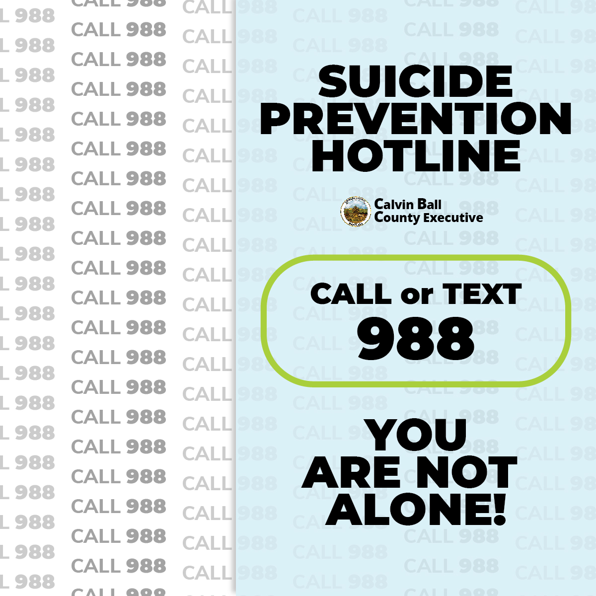 Seeking help when needed is a sign of strength — not a weakness. It’s okay to not be okay. Speaking with trained mental health professional can make a difference.

You are not alone. Call or text 988 to talk to someone today at the Suicide Prevention Hotline available 24/7.