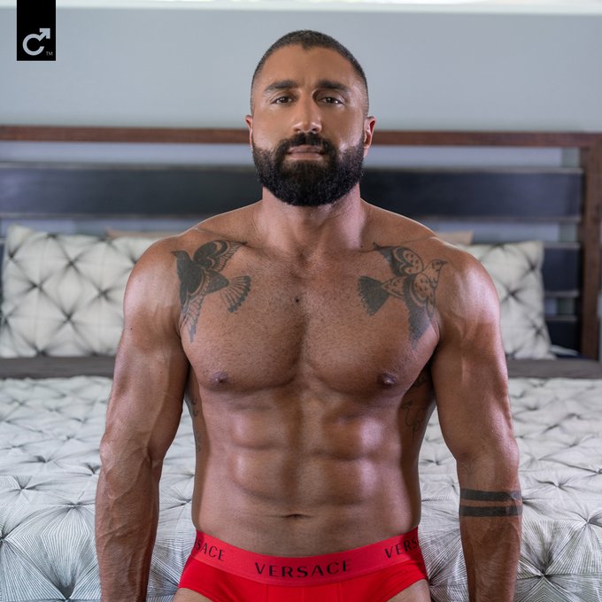You've lusted after him for years & now this sexy Persian top is yours to take home! Welcome @TheSharok