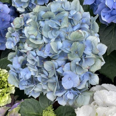 RaSuphr's tweet photo. #NewProfilePic https://t.co/AyxxP3gRsd