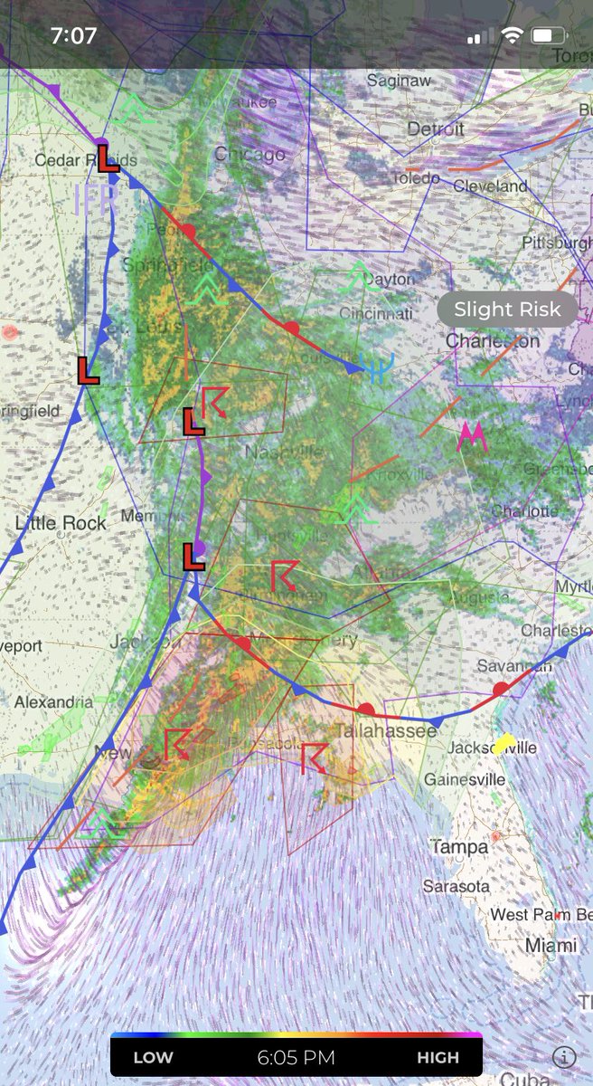 Shelley Langley tweet media