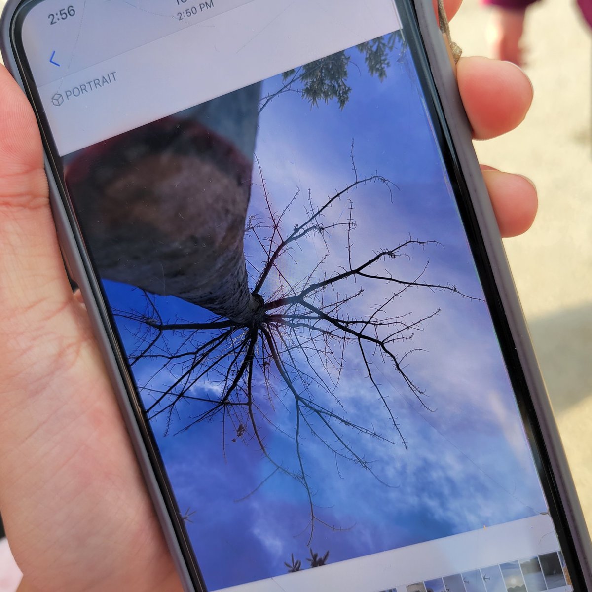 MsLoweClass's tweet photo. Talked about 'making' photos vs 'taking' photos by using different photography composition techniques and then headed outside to practise. @jcpshdsb https://t.co/3Pu4kEx364