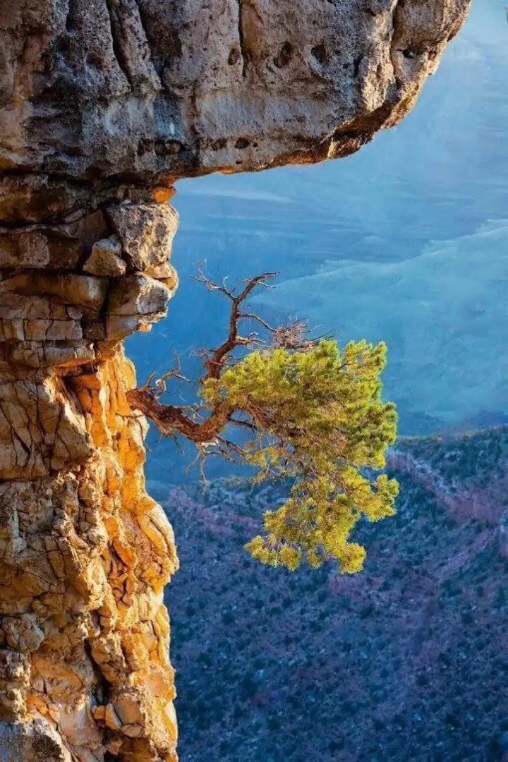 Grandview Point, Grand Canyon, Arizona
Photo: Sylvie Bittner