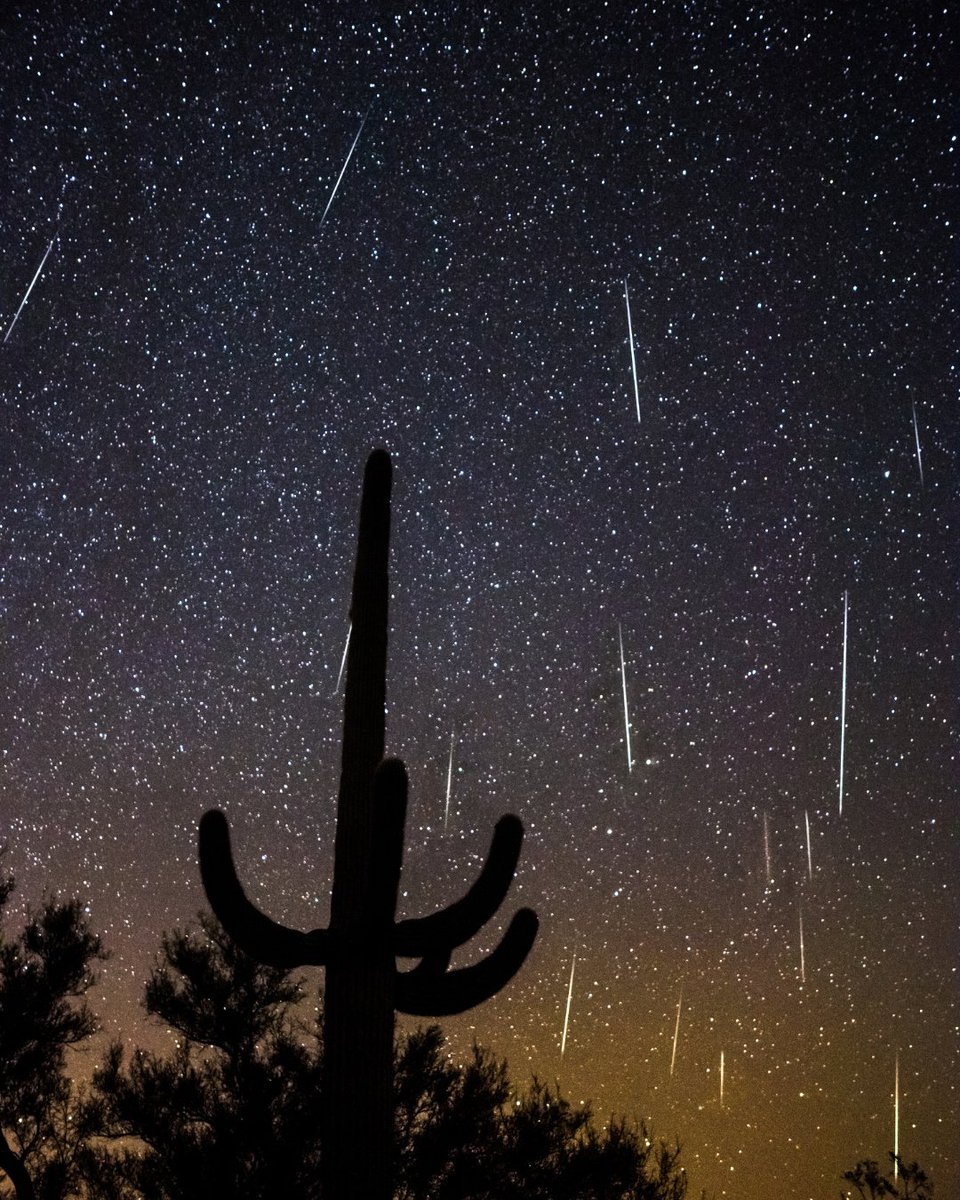 The Geminids Meteor Shower is known as the "king" of all meteor showers, producing up to 120 multicolored meteors per hour at its peak.

It runs annually from December 7th-17th, with the peak landing on the night of the 13th-14th.

📷️: James Capo.