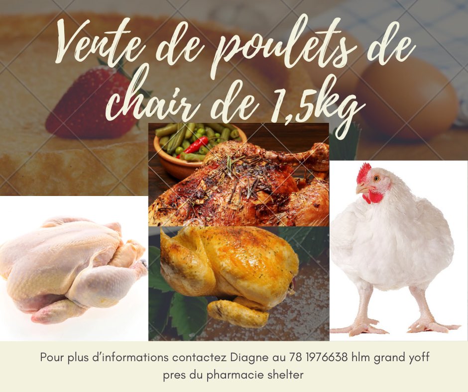SerigneMbacke69's tweet photo. #MBENGUE-Design Booster vos business en un seul click!!!

MBENGUE-Design
+221 77 698 18 21, smbeng69@gmail.com
Hlm grand yoff, Rue 240,villa n•105 près du Dibiterie koromak faye 
*Catalogue de prix*
- [ ] Affiche: 5000Frs
- [ ] Booster vos business: 15000Frs https://t.co/D8ZfwoGzbG