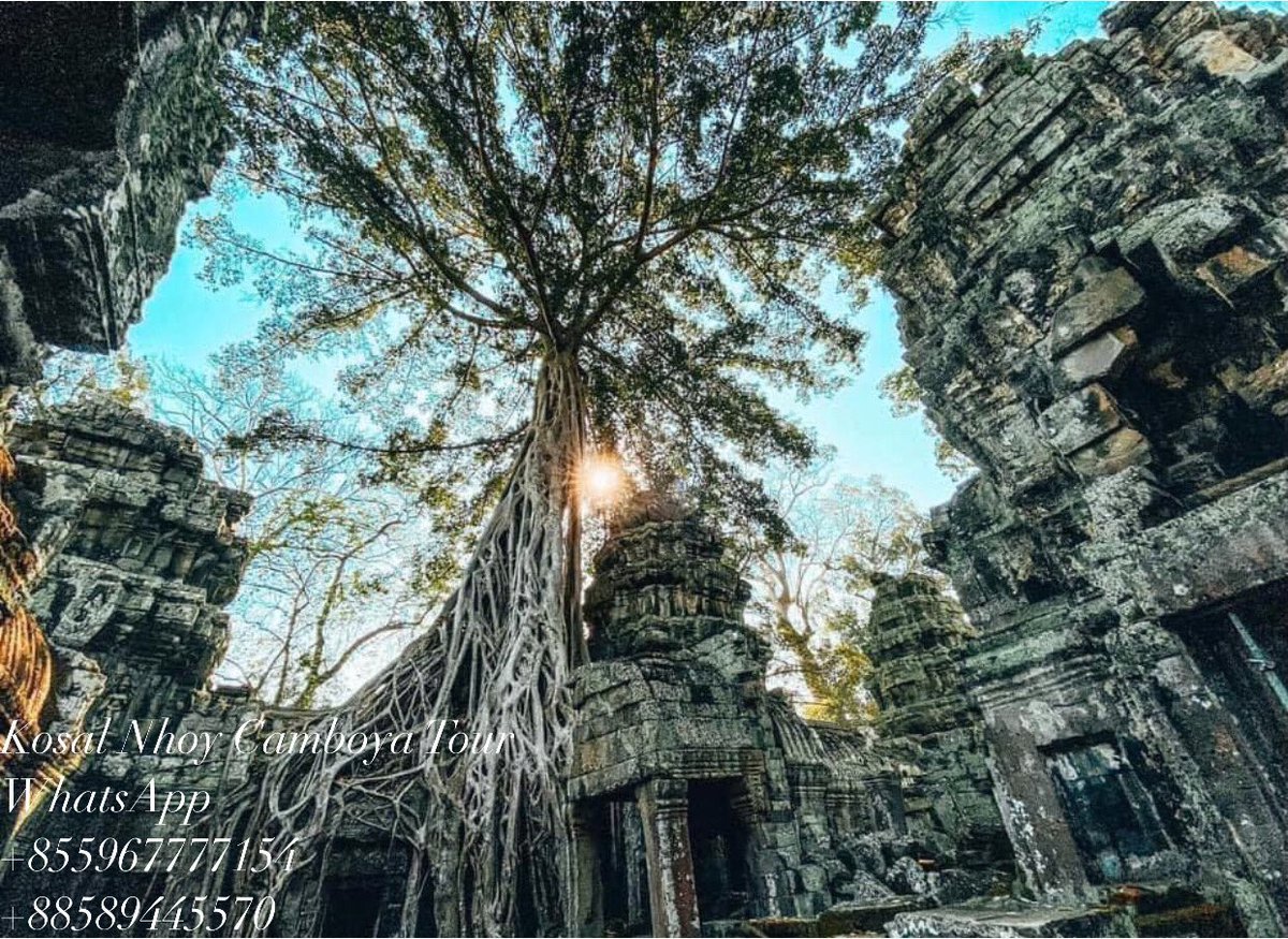 kosalnhoy's tweet photo. #Taprohm_Temple https://t.co/C4F8FGPYqX