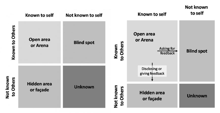 The Johari Window Model for improving self-awareness and mutual understanding through feedback and disclosure. Based on the idea that trust can be increased by revealing yourself to others &amp; learning about yourself from feedback. Information transfers from one pane to another.