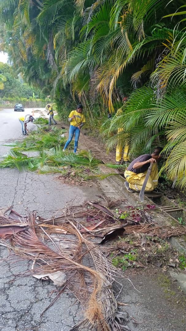 ElHatillo's tweet photo. Nuestra cuadrilla vial, inició trabajos de limpieza y desmalezado de laterales en la calle #CarlosBraum , #LaLagunita , #LosNaranjos y #Tiama

#CuidemosElHatillo
#SeguimosTrabajando https://t.co/7CygNb5pGz