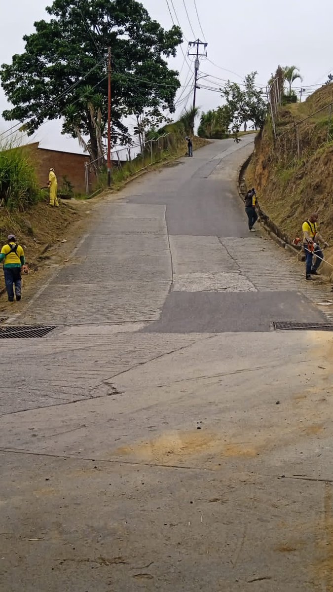ElHatillo's tweet photo. Nuestra cuadrilla vial, inició trabajos de limpieza y desmalezado de laterales en la calle #CarlosBraum , #LaLagunita , #LosNaranjos y #Tiama

#CuidemosElHatillo
#SeguimosTrabajando https://t.co/7CygNb5pGz
