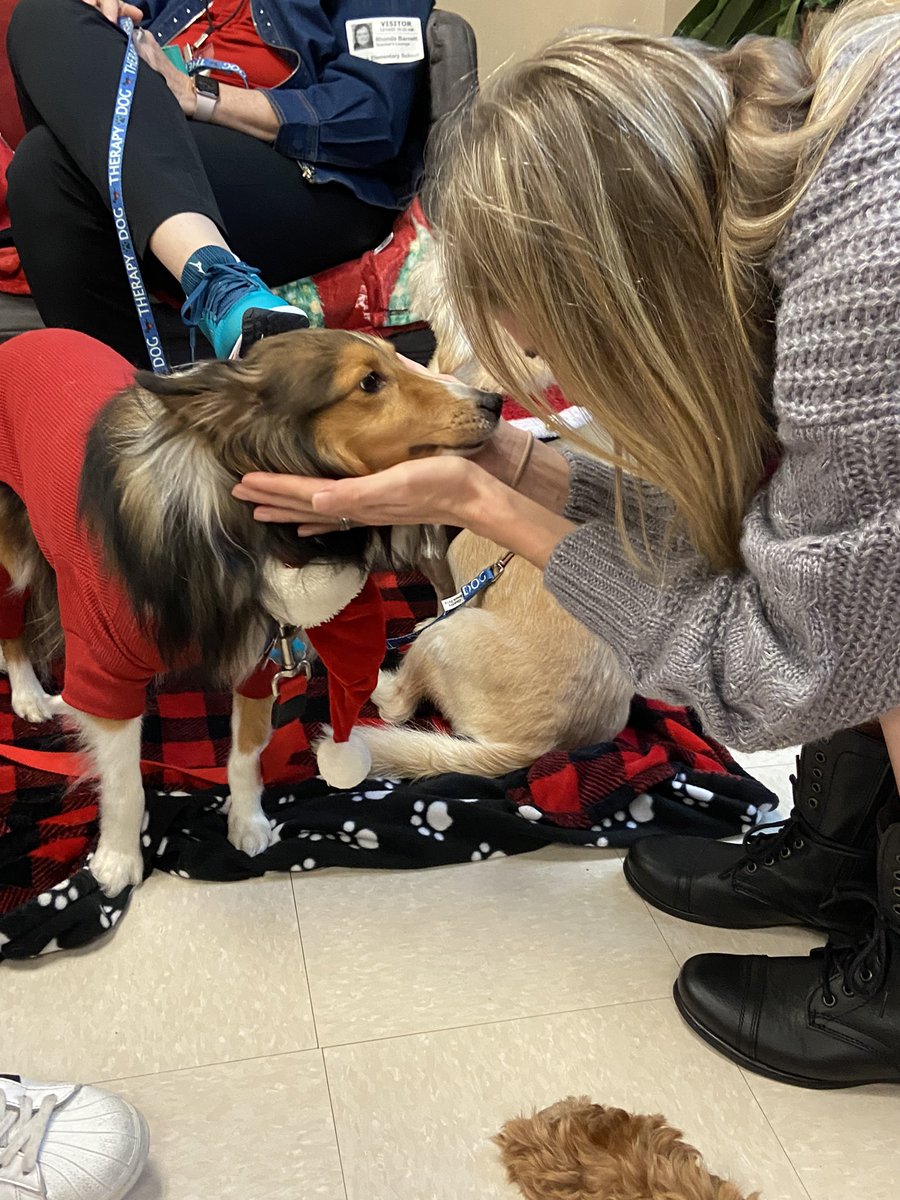 Angel Paws CFBC tweet media