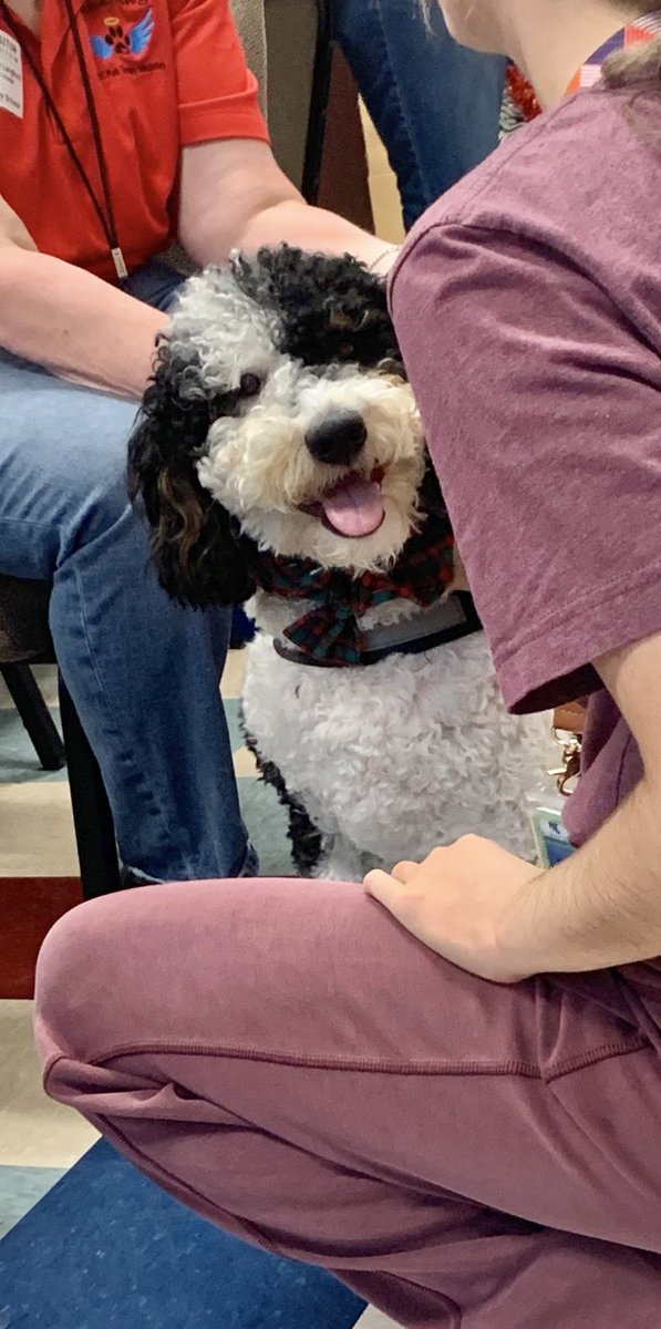 Angel Paws CFBC tweet media