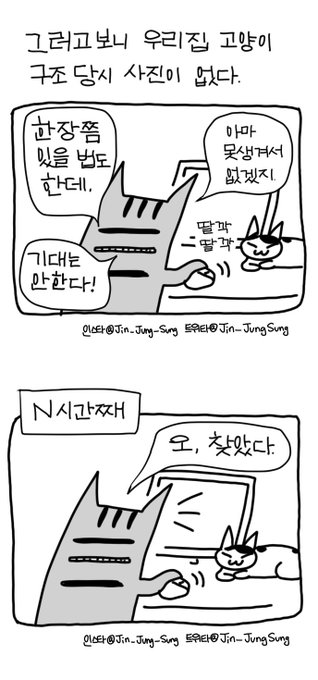 우리집 고양이 구조당시 사진을 발견하다 #뚝뚝만화데일리 