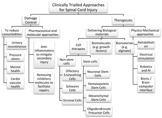 Biomedicines MDPI (@biomed_mdpi) on Twitter photo New Paper :
"This position paper is a roadmap to design new clinical trials with OEC based therapies for SCI. It analyzes all clinically relevant points to improve study design by studying past trials."
mdpi.com/2227-9059/10/1…
<a href="/RonakReshamwala/">Ronak Reshamwala</a> @ClemJonesNeuro @MenziesHealth New Paper :
"This position paper is a roadmap to design new clinical trials with OEC based therapies for SCI. It analyzes all clinically relevant points to improve study design by studying past trials."
mdpi.com/2227-9059/10/1…
<a href="/RonakReshamwala/">Ronak Reshamwala</a> @ClemJonesNeuro @MenziesHealth