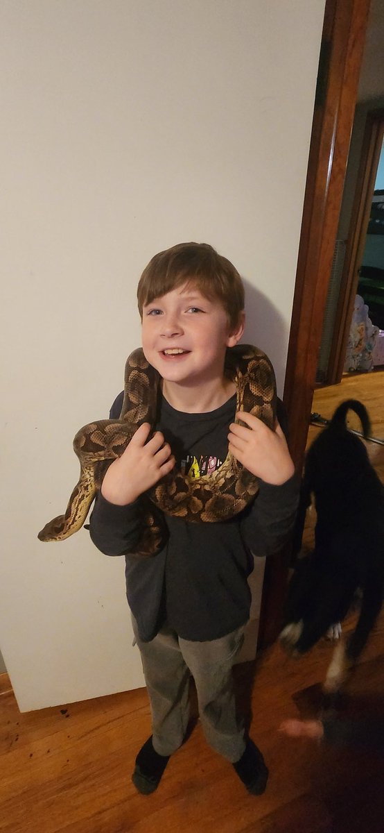 ProjectZeroKram's tweet image. Our big girl sally