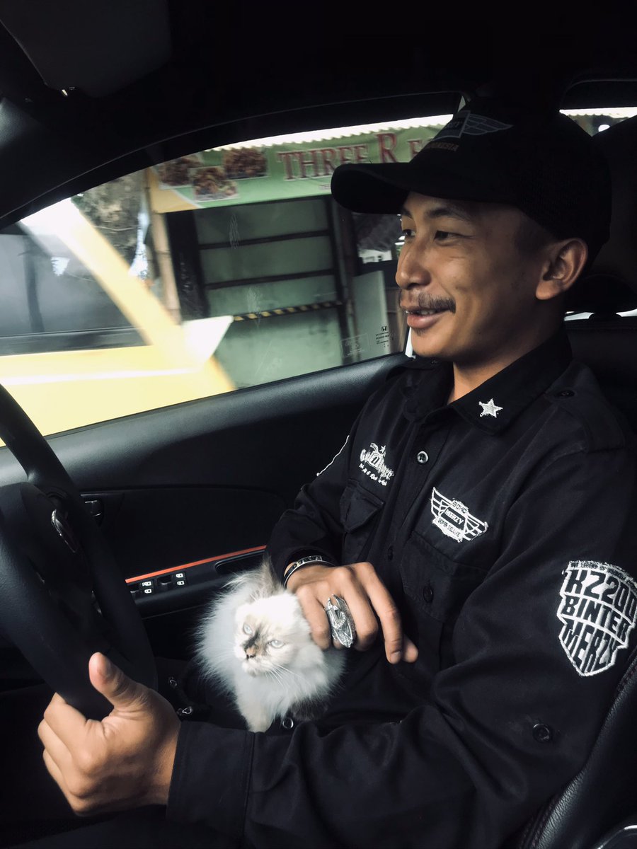 ◦good music+long ride+cat+u💘