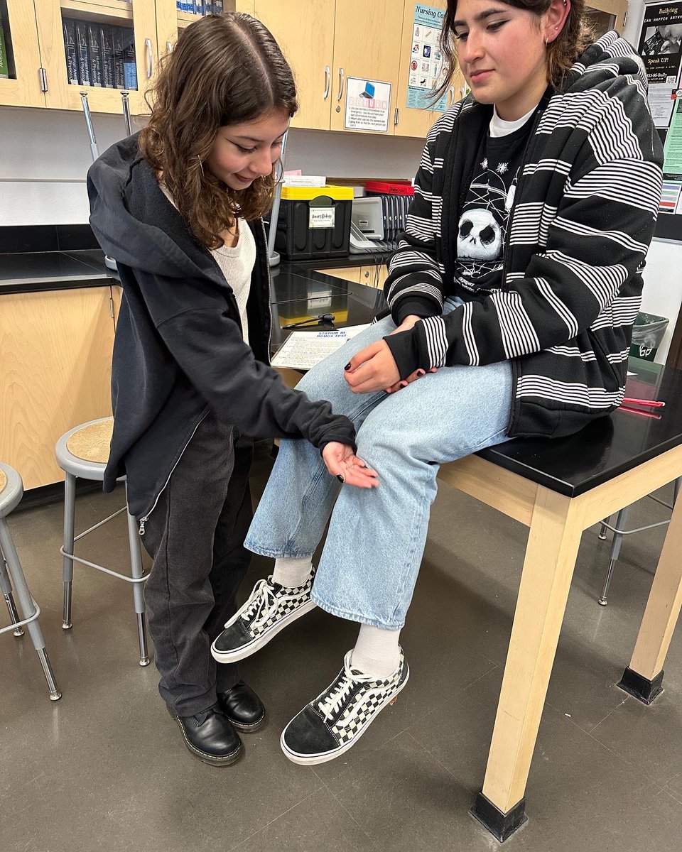 hellomsyang's tweet photo. Honors A&P as @ChaffeyHSTigers learn about their cranial nerves #funinthelab #TCELL #labskills https://t.co/Qdia4KAukc
