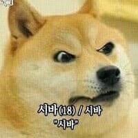 Isaka1441's tweet photo. 인생은 시바다 https://t.co/0UOoW3y4c5
