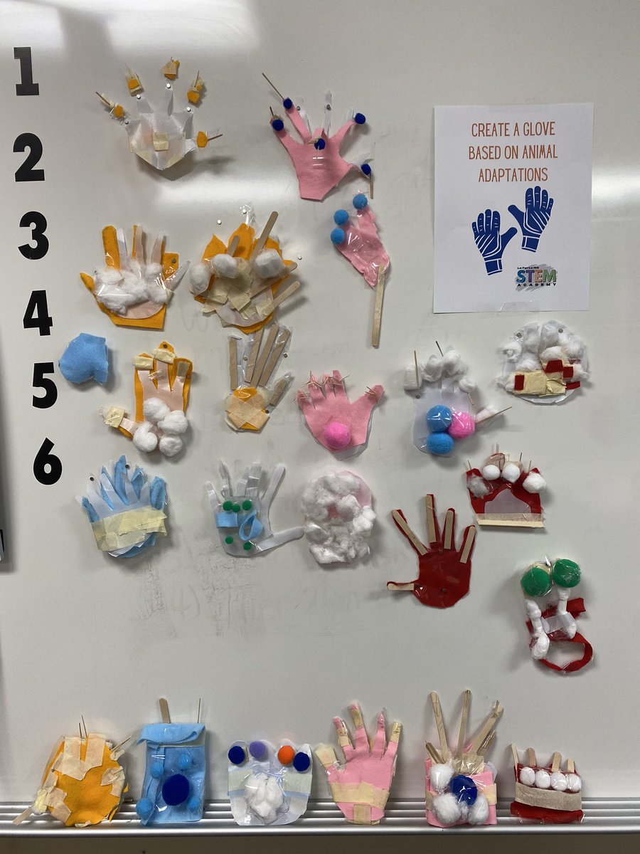 LPFrizzle's tweet photo. Before students start any major STEM project, they warm up with a Maker Space activity. These Lomax Lions rose to the challenge to design a glove using Biomimicry. Now, onto Biomimicry Inventions! #ChooseLP #LPSTEM @stemlpisd https://t.co/oUhIWX5oZA