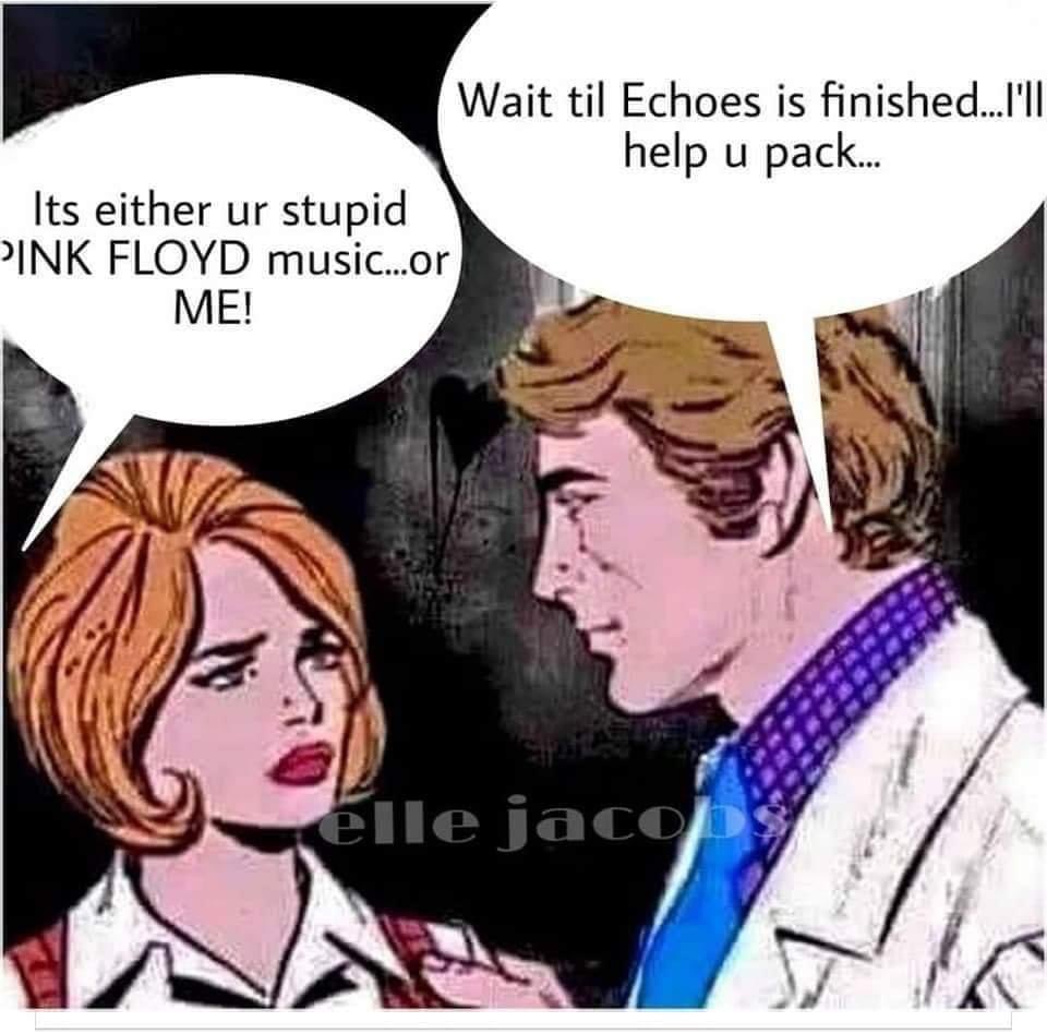 Every <a href="/pinkfloyd/">Pink Floyd</a> fanatic will relate #PinkFloyd #pinkfloyd tillidie