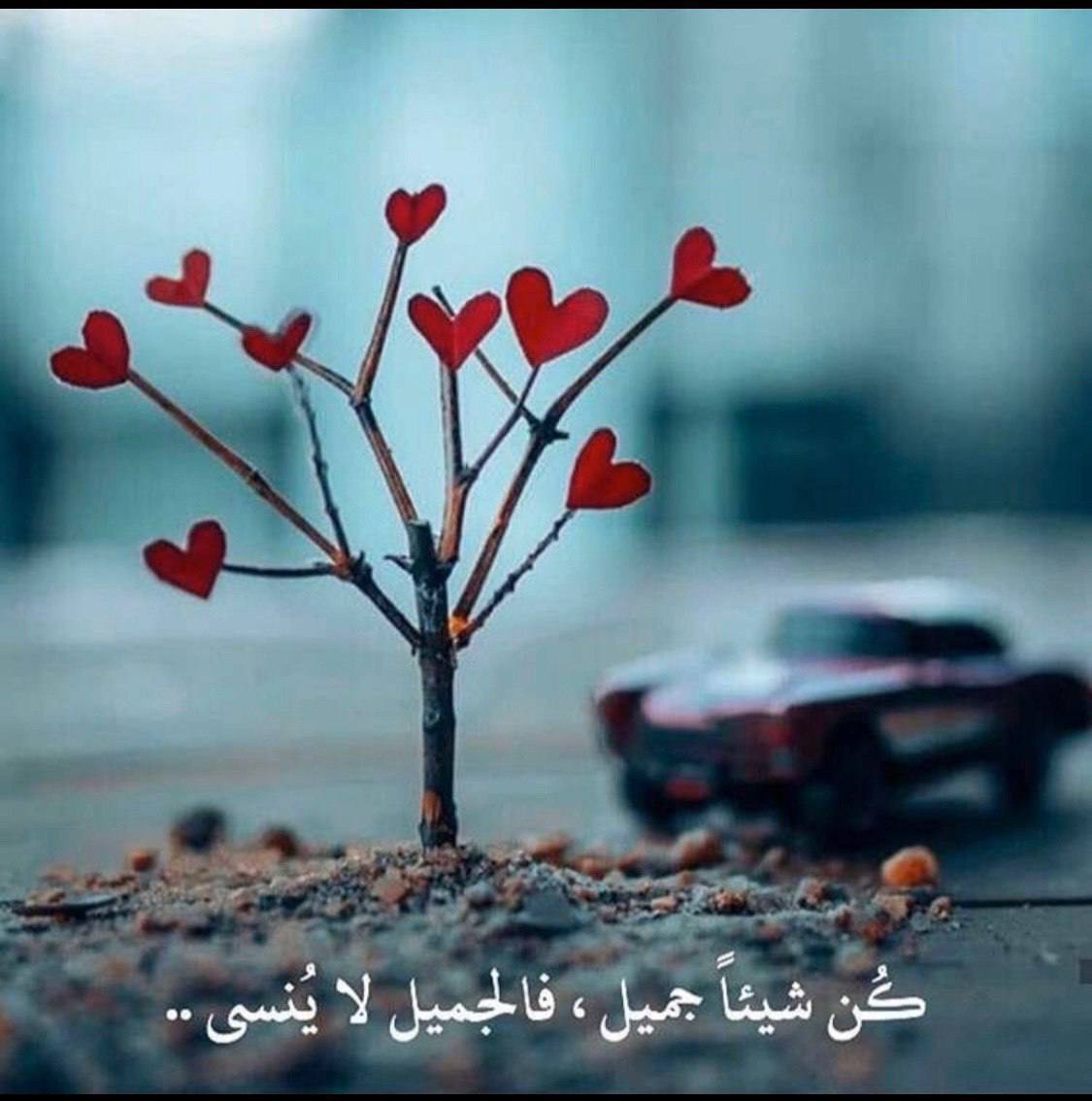 ابتسم دائماً فالابتسامة تفتح الأبواب المغلقة، وتصنع لك القبول قبل أن تطرح أفكارك، وتجعل ملامحك أجمل وأطيب ولك بها أجرا.