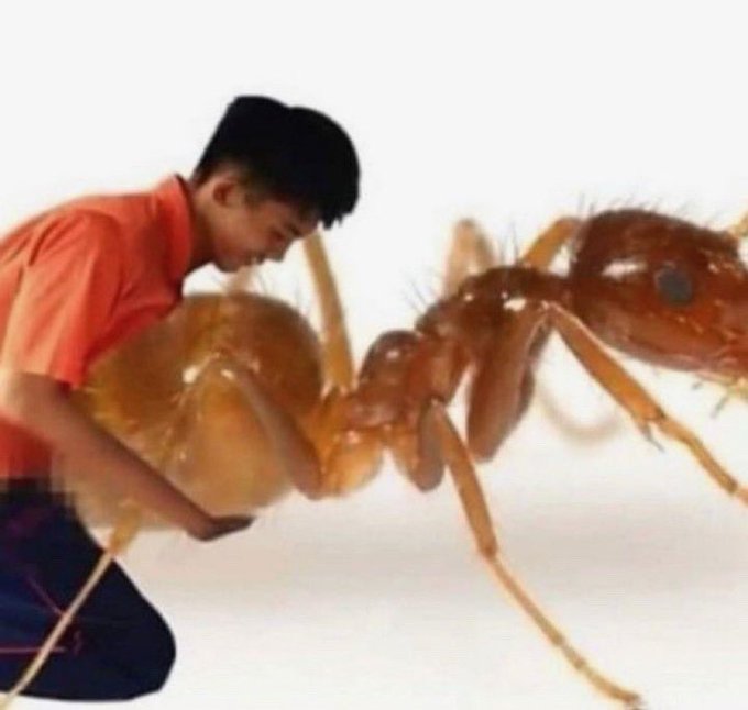 Watch Maybe: Papi Women Neglecter vol 5's leaked NSFW photo on TwXstars