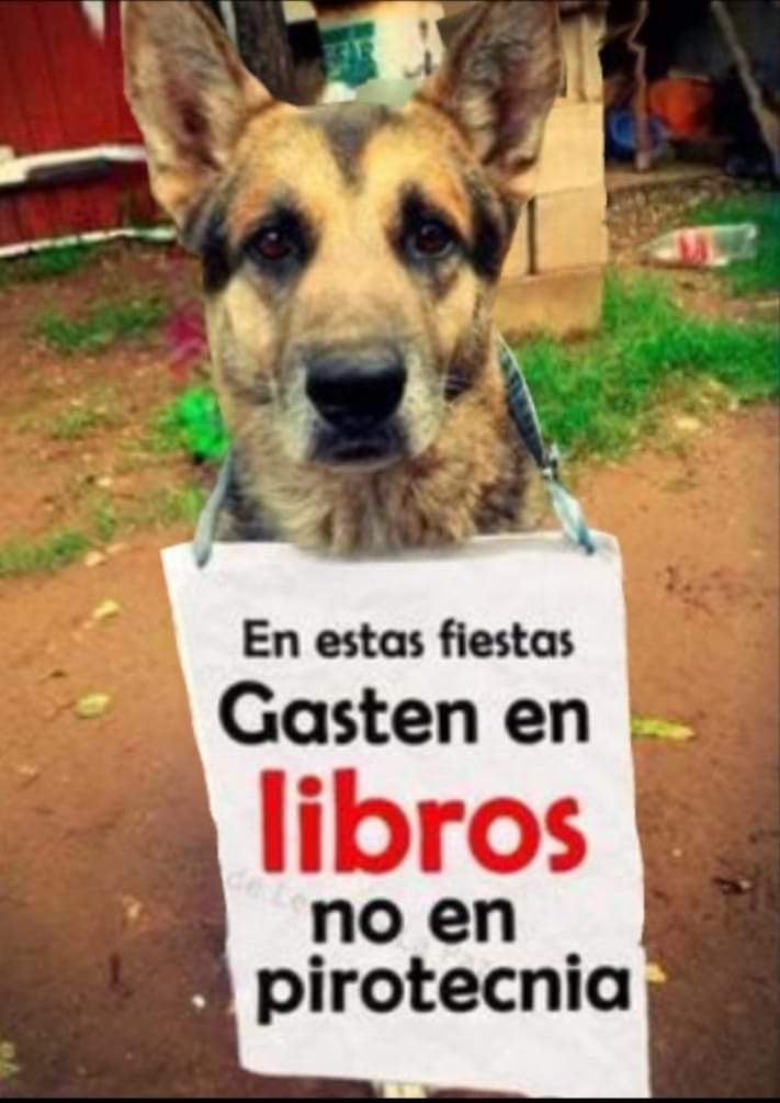 UsuariosGuia's tweet photo. 🎄🪅🎅🏽 Desde la AUPGA nuestros perros guías y nuestros socios os dejan un breve mensaje para estas NAVIDADES:
🧑🎄🦮“En estas fiestas Gasten en libros no en pirotecnia!” 🎉🎁
#navidadperruna
#AsociaciónUsuariosPerrosGuíaDeAndalucía
#NuestrosOjos
#aupga
#Andalucía https://t.co/9lbRZ4VLZg