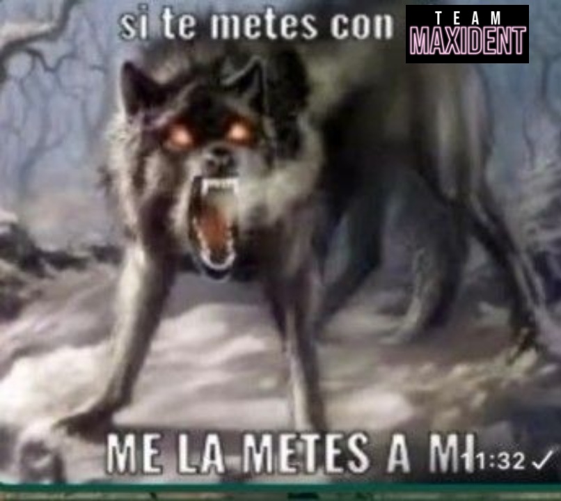 b_candize's tweet photo. Vi que mis #Maxidianas estuvimos más ocupadas estos días y por eso dejamos los edits nsjdjahsa pero vamos!
Fuerza a todxs, lo estamos haciendo bien y si alguien decide unirse a la dinámica, aún puede hacerlo 💗
#TeamMAXIDENT #STAYStreamParty https://t.co/KeGci4C36G