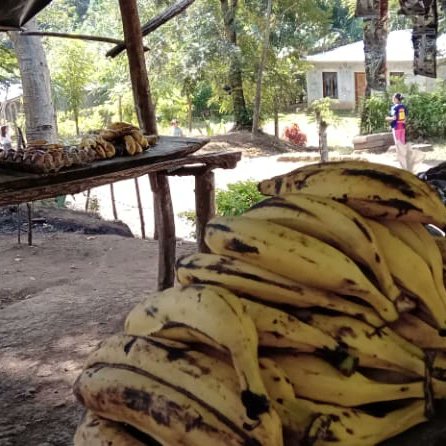 GranadaMefcca's tweet photo. #MEFCCAGranada brinda Acompañamiento a Eveling Muñoz, quien es  protagonista del programa de microcreditos para pequeños negocios en el campo.

Ella se dedica a la comercialización de frutas y verduras en su comunidad.

#pueblopresidente
#puebloalcalde https://t.co/E2YDVrJtxu